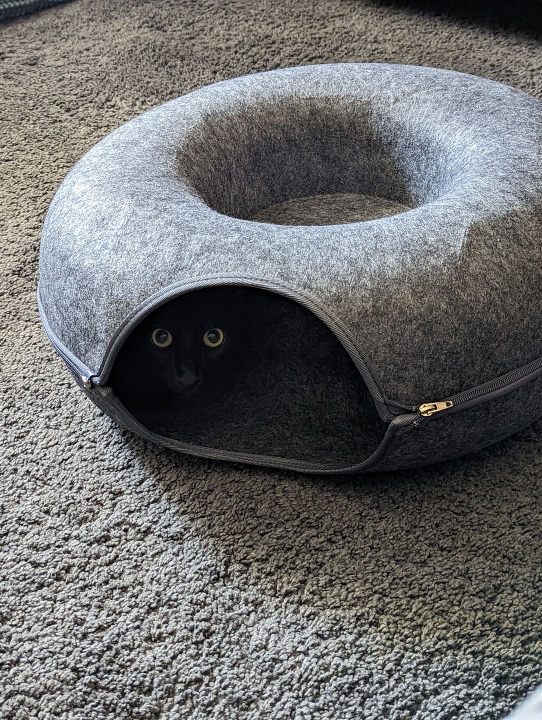 Purrfect Den - Kattentunnel bed